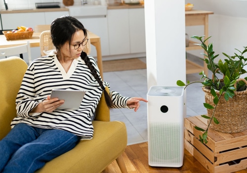 Beyond the Basics: How Do Home Air Filters Work to Enhance Indoor Air Quality?